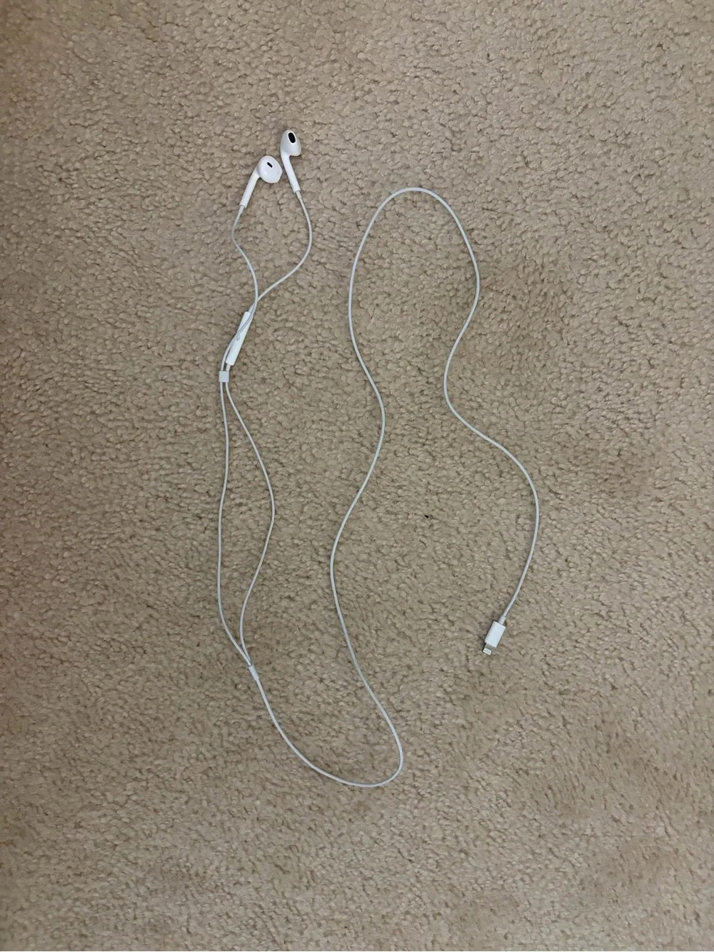 Apple earbuds lightning